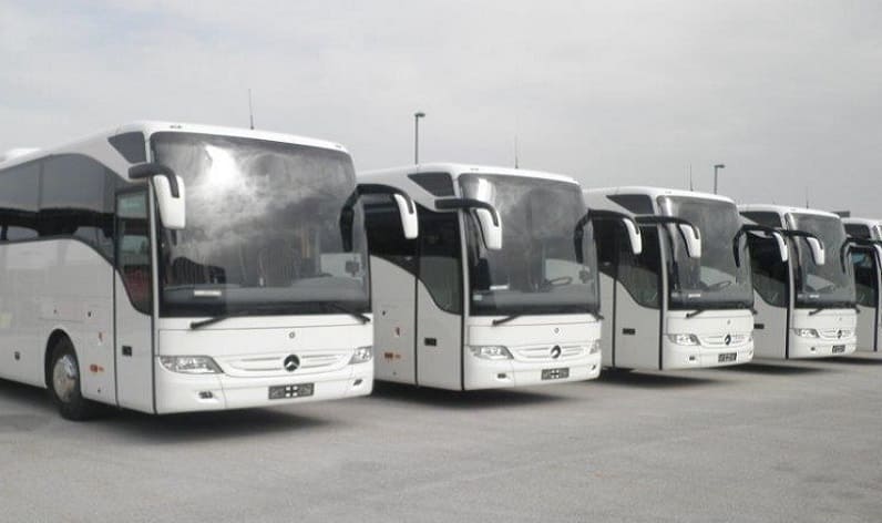Europe: Bus company in Vatikan City in Vatikan City and Vatikan City