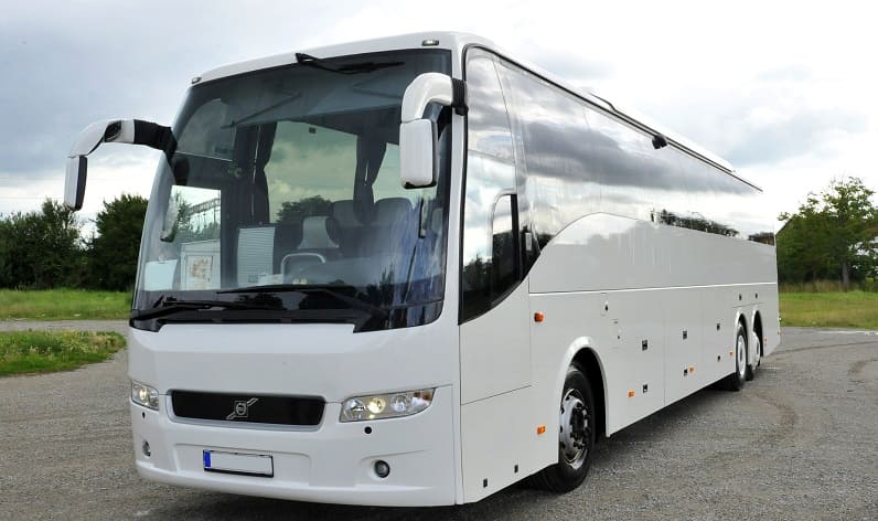 Italy: Buses agency in Italy in Italy and Umbria